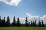 20150507-AJ015522.jpg